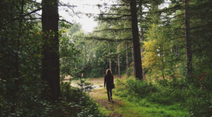 Walking Forest